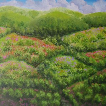 Pintura titulada "Las colinas en prim…" por Fabiana Iglesias, Obra de arte original, Acrílico Montado en Bastidor de camilla…
