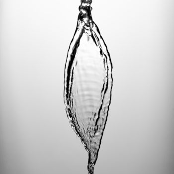 Photography titled "Feuille d'eau" by Fabien Viaut-Noblet, Original Artwork