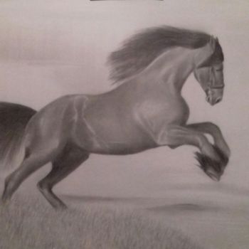 Drawing titled "Cavalo" by Fábio Francisco Silva, Original Artwork, Pencil