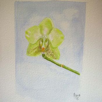 绘画 标题为“orchidea” 由Fabiola Bonghi, 原创艺术品, 其他