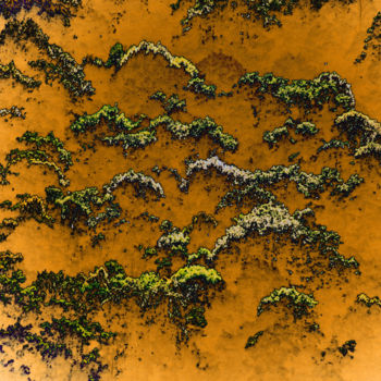 Digital Arts titled "Woods" by Fabrice Cadet, Original Artwork, 2D Digital Work