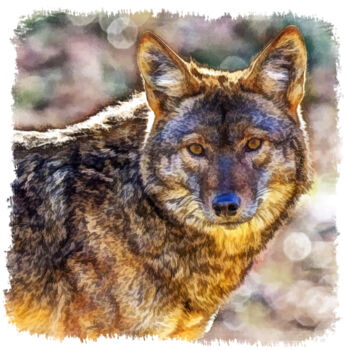 Digital Arts titled "coyote" by Fabrice Fouarge, Original Artwork, Digital Painting