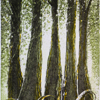 Printmaking titled "Les glaces de Nïom-…" by Fabrice Rivière, Original Artwork, Lithography