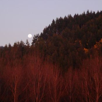 Fotografía titulada "Magia" por Fajira, Obra de arte original