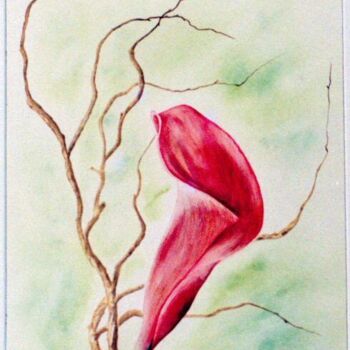 Картина под названием "Arums roses" - Fanny Laffitte, Подлинное произведение искусства, Масло