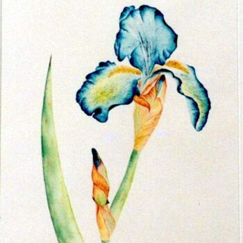 Peinture intitulée "Iris" par Fanny Laffitte, Œuvre d'art originale, Huile