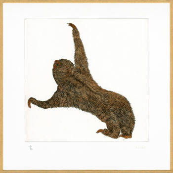 Gravures & estampes intitulée "Le paresseux" par Bueb Fanny, Œuvre d'art originale, Eau-forte Monté sur Carton