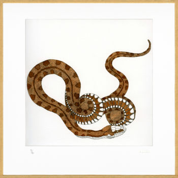 Estampas & grabados titulada "Le serpent" por Bueb Fanny, Obra de arte original, Aguafuerte