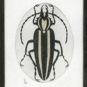 Gravures & estampes intitulée "Cerambycidae" par Bueb Fanny, Œuvre d'art originale, Eau-forte