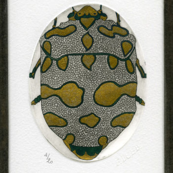 Gravures & estampes intitulée "Pachycoris torridus" par Bueb Fanny, Œuvre d'art originale, Eau-forte