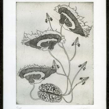 Gravures & estampes intitulée "Nux Lacteus" par Bueb Fanny, Œuvre d'art originale, Eau-forte