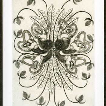 Gravures & estampes intitulée "Auris hieracium" par Bueb Fanny, Œuvre d'art originale, Eau-forte