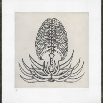 Printmaking titled "Aloe Pulmonaria" by Bueb Fanny, Original Artwork, Etching