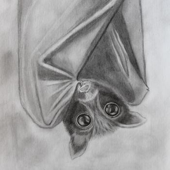 Drawing titled "Flying fox art pain…" by Nadiia Morokhovets, Original Artwork, Pencil