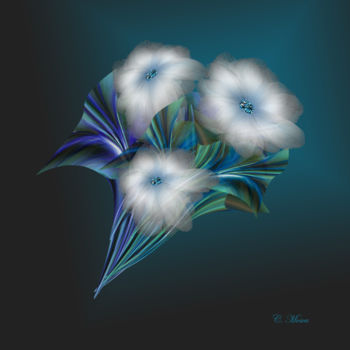 Digital Arts titled "fleurs-blanches-coe…" by Christiane Mosca, Original Artwork, Digital Painting