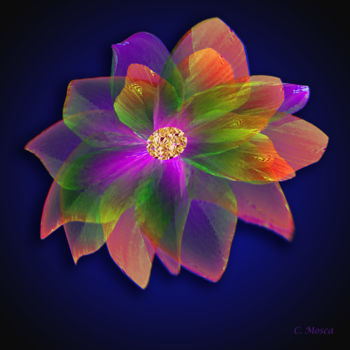 Arts numériques intitulée "fleurs couleurs exo…" par Christiane Mosca, Œuvre d'art originale, Peinture numérique