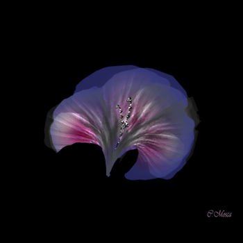 Arts numériques intitulée "Fleur de nuit" par Christiane Mosca, Œuvre d'art originale, Travail numérique 2D