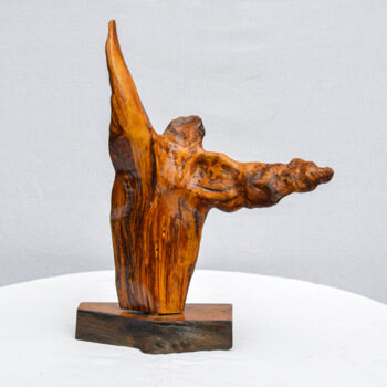 Sculpture intitulée "Faruk Tak Heykel  "…" par Faruk Tak, Œuvre d'art originale, Bois