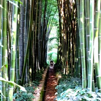 Photographie intitulée "Bamboo" par Maëva Faure, Œuvre d'art originale, Photographie numérique