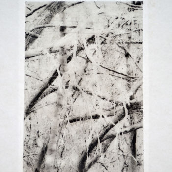 Druckgrafik mit dem Titel "lianes" von François Crinel, Original-Kunstwerk, Gravur