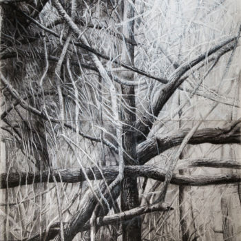 Drawing titled "Grand maquis 2" by François Crinel, Original Artwork, Charcoal