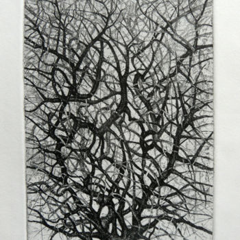 Printmaking titled "arbre 3" by François Crinel, Original Artwork, Etching