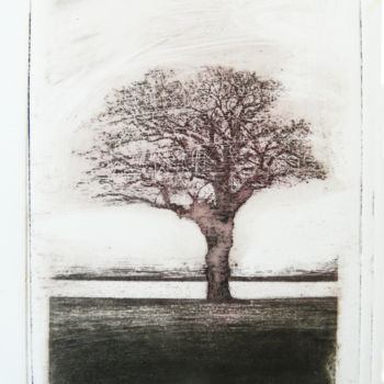 Printmaking titled "Roche-Colombe 3" by François Crinel, Original Artwork