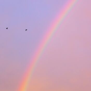 Fotografia intitolato "Rainbow" da Feedeluz, Opera d'arte originale, Fotografia digitale