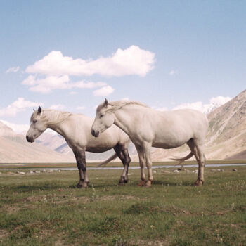 Photography titled "Sans titre, chevaux" by Federico Frangi, Original Artwork, Manipulated Photography