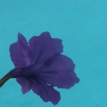 Фотография под названием "A Fleur de P' Eau" - Féemerode, Подлинное произведение искусства