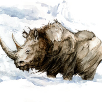 Pintura intitulada "rhinoceros-laineux.…" por Feldrik Rivat, Obras de arte originais, Aquarela