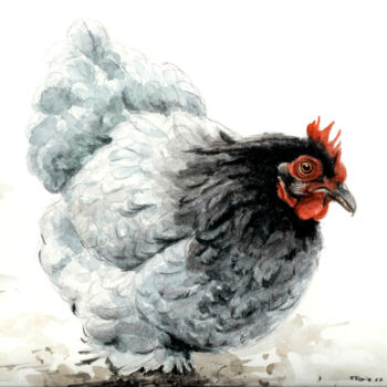 Peinture intitulée "poule.jpg" par Feldrik Rivat, Œuvre d'art originale, Aquarelle