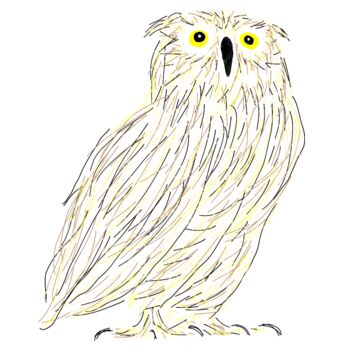 Digital Arts titled "Owl" by Ferhat Korkmazcan, Original Artwork, 2D Digital Work