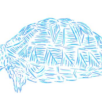 Digitale Kunst mit dem Titel "Tortoise" von Ferhat Korkmazcan, Original-Kunstwerk, 2D digitale Arbeit