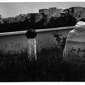 "Jardins de Pedra 6" başlıklı Fotoğraf Fernanda Carvalho tarafından, Orijinal sanat