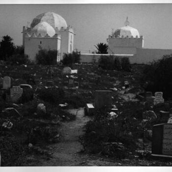 Fotografia intitulada "Jardins de Pedra 23" por Fernanda Carvalho, Obras de arte originais