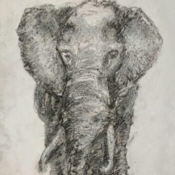 Ζωγραφική με τίτλο "The great elephant…" από Fernando Josei Kanashiro Pereira, Αυθεντικά έργα τέχνης, Κάρβουνο