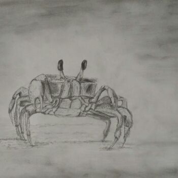 Drawing titled "The crab" by Fernando Josei Kanashiro Pereira, Original Artwork, Graphite