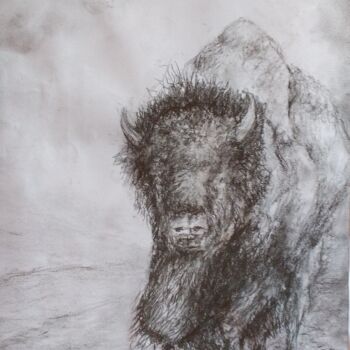 Drawing titled "Wildlife - The Big…" by Fernando Josei Kanashiro Pereira, Original Artwork, Charcoal