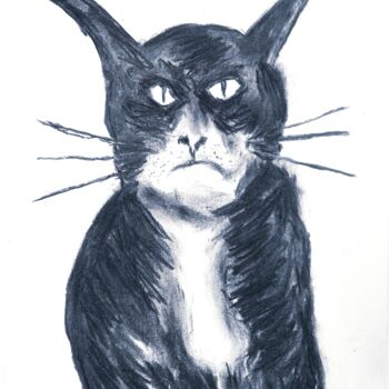 Drawing titled "Caracal Nocturno" by Fernando Rubio, Original Artwork, Charcoal
