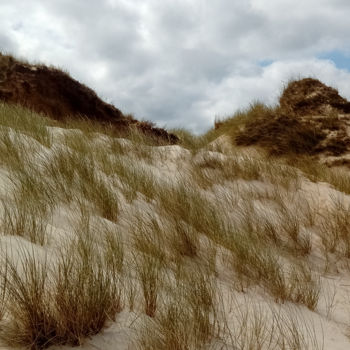 Φωτογραφία με τίτλο "Dune landscape on S…" από Myriam, Αυθεντικά έργα τέχνης, Ψηφιακή φωτογραφία