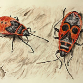 Painting titled "red beetles" by Feydzhet, Original Artwork, Watercolor