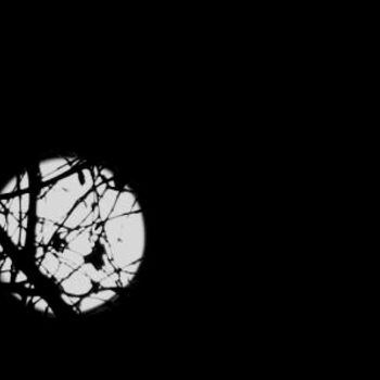 Photography titled "La lune par dessus…" by Francois-Henri Louchet, Original Artwork