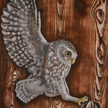 Drawing titled "The owl and the wat…" by Fikret Şen, Original Artwork, Acrylic