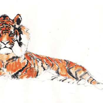 Drawing titled "Tiger" by Fleur Elise Noble, Original Artwork, Pencil