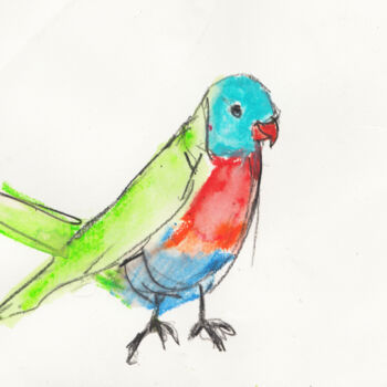 Drawing titled "Bird of Colour" by Fleur Elise Noble, Original Artwork, Pastel
