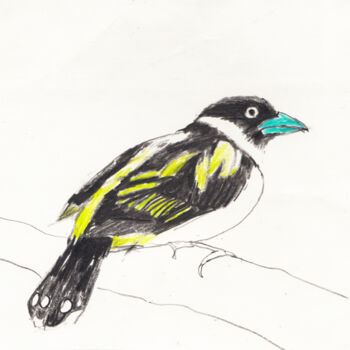 Dessin intitulée "Bird 3" par Fleur Elise Noble, Œuvre d'art originale, Pastel