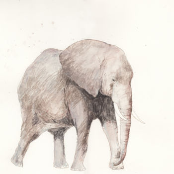Drawing titled "elephant-40x30.jpg" by Fleur Elise Noble, Original Artwork, Pencil