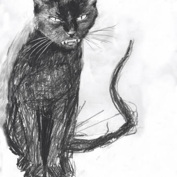 Drawing titled "Black Cat" by Fleur Elise Noble, Original Artwork, Pencil