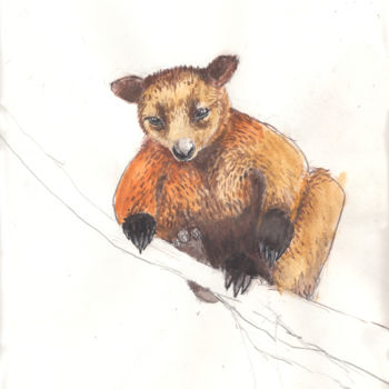 Drawing titled "Tree Kangaroo" by Fleur Elise Noble, Original Artwork, Pastel